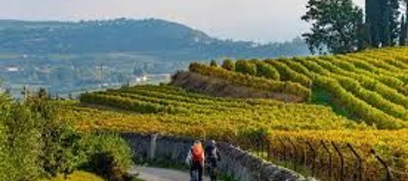 6-salle Maison à Negrar, Italy No. 297078 9