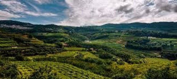 6-salle Maison à Negrar, Italy No. 297078 10