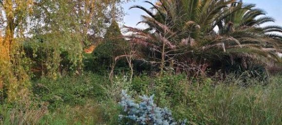 Grundstück in La Rioja, Spain 990m², Nr. 167067 6