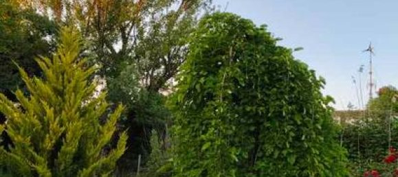 Grundstück in La Rioja, Spain 990m², Nr. 167067 5