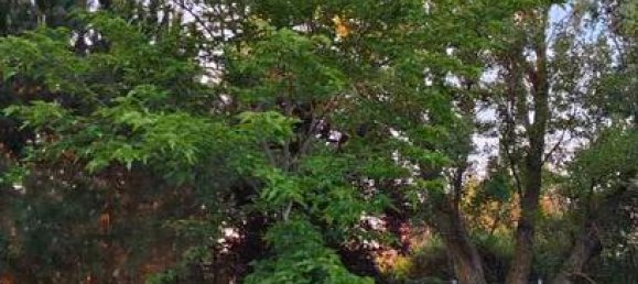 Grundstück in La Rioja, Spain 990m², Nr. 167067 8