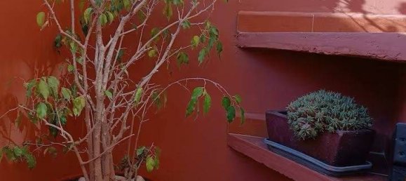 2 bedrooms House in Torrevieja, Spain No. 182928 41