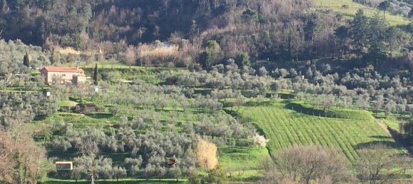 15-salle Villa à Fosdinovo, Italy No. 82515 20