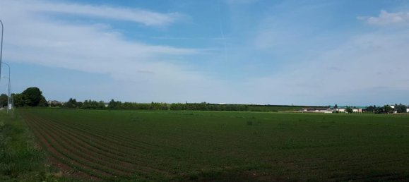 67000m² Land in Torri di Quartesolo, Italy No. 24434 16