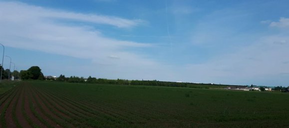 67000m² Land in Torri di Quartesolo, Italy No. 24434 3