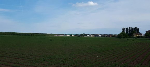 67000m² Land in Torri di Quartesolo, Italy No. 24434 9