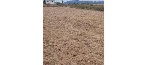 Grundstück in Sintra, Portugal 3800m², Nr. 90814 4