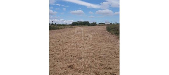 Grundstück in Sintra, Portugal 3800m², Nr. 90814 3