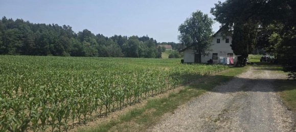 Casa de 2 divisões em Sudoststeiermark, Austria N.º 198418 5