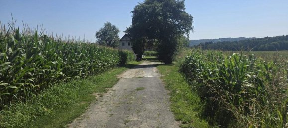 Casa de 2 divisões em Sudoststeiermark, Austria N.º 198418 15