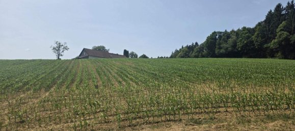 Casa de 2 divisões em Sudoststeiermark, Austria N.º 198418 10