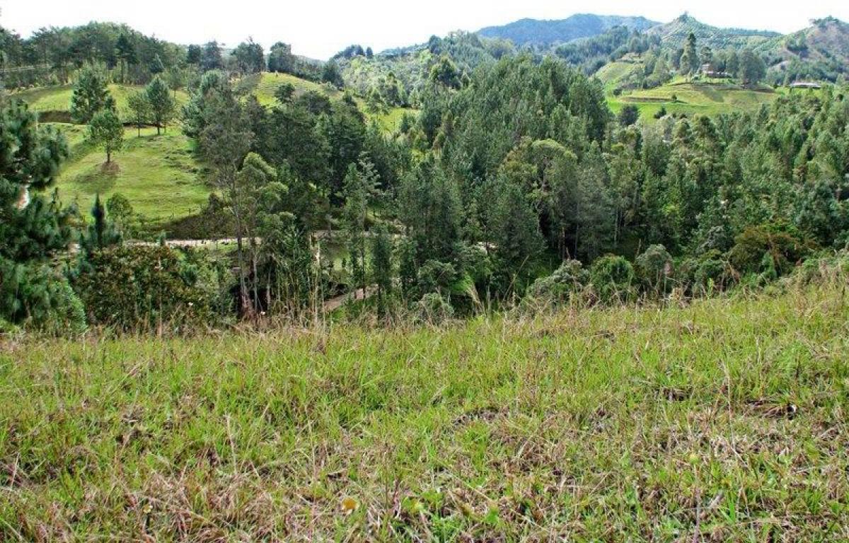  Land in Antioquia, Colombia No. 208