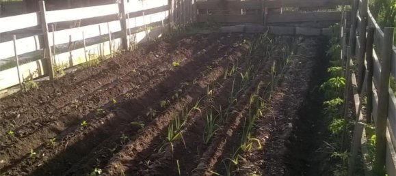 Квартира с 4 спальнями в Какабелос, Испания № 181982 4