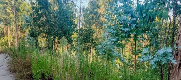 Terreno en Mortagua, Portugal No. 82503 4