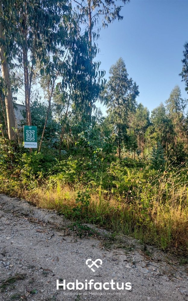 Terreno en Mortagua, Portugal No. 82503