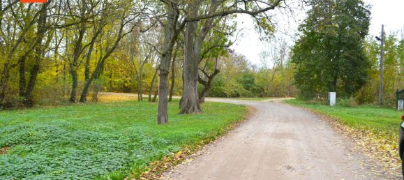 Land in Markisch-Oderland, Germany No. 115501 3