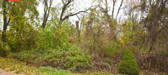 Land in Markisch-Oderland, Germany No. 115501 2