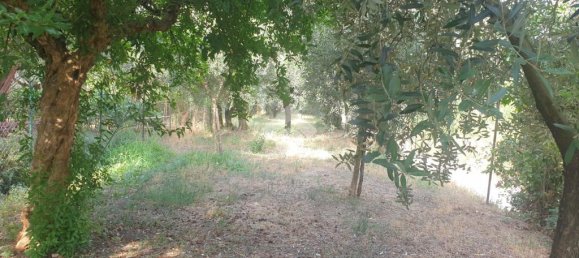 1-Zimmer Garage in Veroli, Italy, Nr. 291931 3