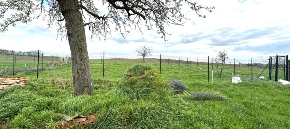 Terrain à Crœttwiller, France No. 161030 3