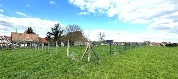 Terrain à Crœttwiller, France No. 161030 2