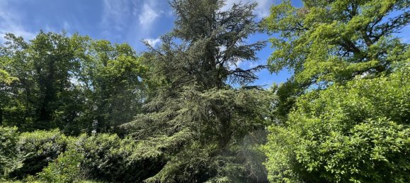 6 bedrooms Castles in Bruebach, France No. 274283 18