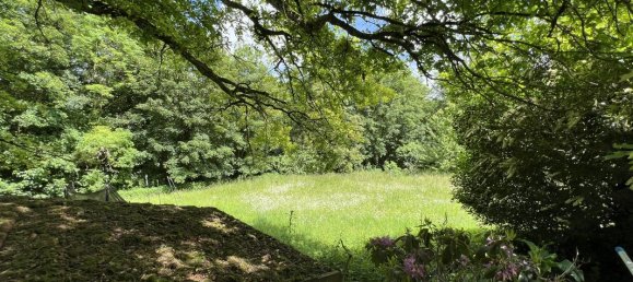 6 bedrooms Castles in Bruebach, France No. 274283 10