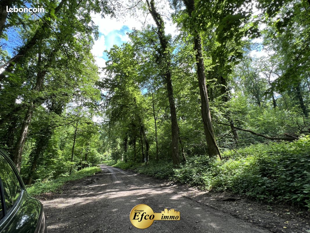 6 bedrooms Castles in Bruebach, France No. 274283