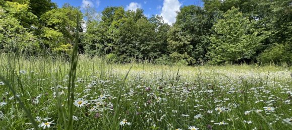 6 bedrooms Castles in Bruebach, France No. 274283 9