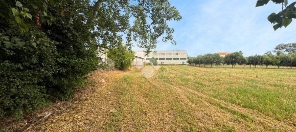 2704m² Land in Giulianova, Italy No. 343606 9