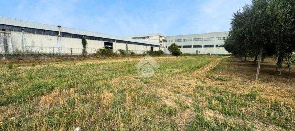 2704m² Land in Giulianova, Italy No. 343606 4