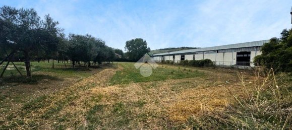 2704m² Land in Giulianova, Italy No. 343606 5