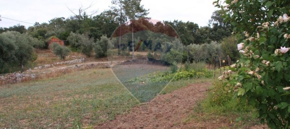 3 bedrooms House in Pousaflores, Portugal No. 157685 4