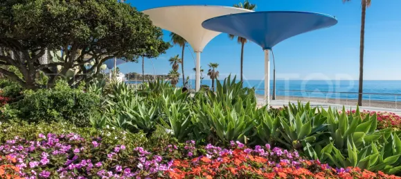 11 Schlafzimmer Hotel in Estepona, Spain, Nr. 190018 25