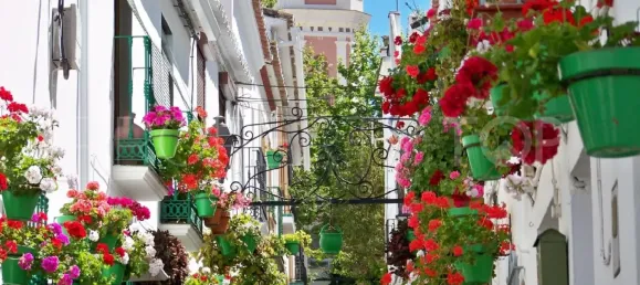 11 Schlafzimmer Hotel in Estepona, Spain, Nr. 190018 20