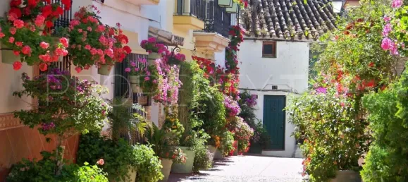 11 Schlafzimmer Hotel in Estepona, Spain, Nr. 190018 21