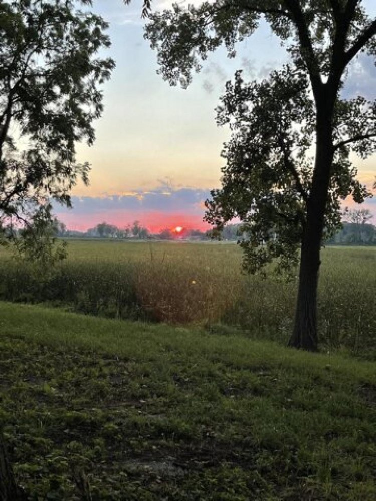  Land in New Buffalo, USA No. 503437