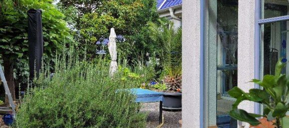 8 rooms Building in Alzey-Worms, Germany No. 249207 9