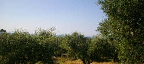 Hotel em Zakynthos, Greece N.º 431 6