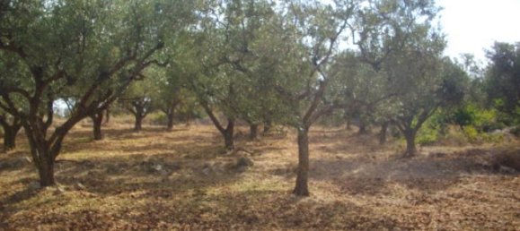 Hotel em Zakynthos, Greece N.º 431 5