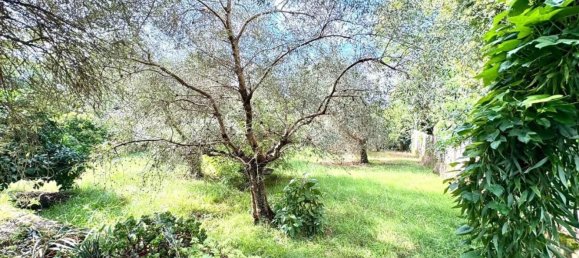 Villa T5 em Massa, Italy N.º 327398 22