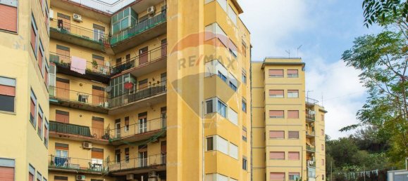 3 rooms Apartment in Valverde, Italy No. 131561 16