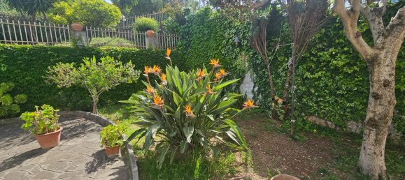 5 rooms Apartment in Praia a Mare, Italy No. 176280 7