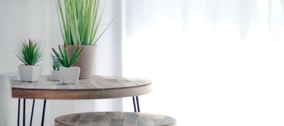 Bungalow de 3 dormitorios en Pilar de la Horadada, Spain No. 11875 19