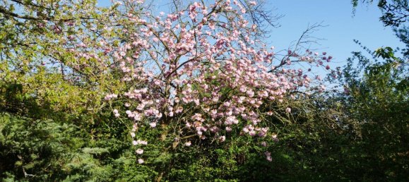 Bungalow T1 em Kassel, Germany N.º 363817 6