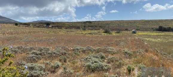 Terreno em Porto Santo, Portugal 3280 m² N.º 315779 10