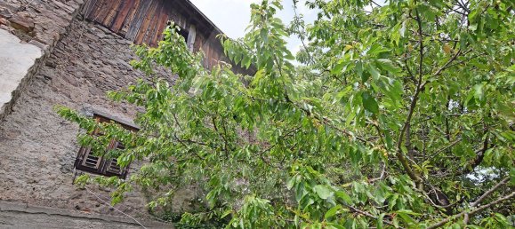 4غرفة منزل في Altavalle, Italy رقم 198864 2