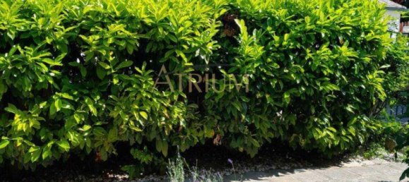 Duplex de 3 divisões em Vienna, Austria N.º 144066 3