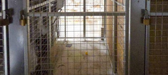 Apartamento de 2 habitaciónes en Favoriten, Austria No. 259604 12