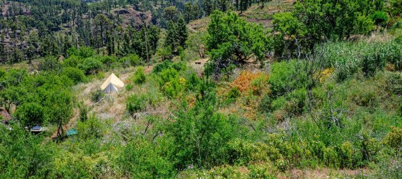 Земельный участок в Ла Пальма, Испания № 162708 10