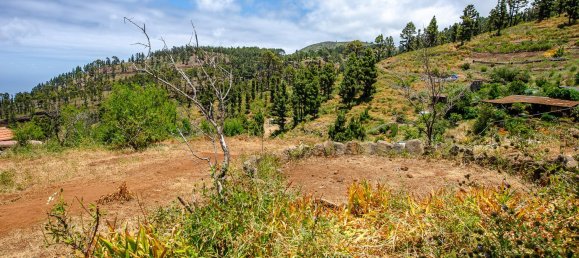 Земельный участок в Ла Пальма, Испания № 162708 3